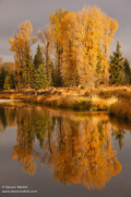 YELLOWSTONE & GRAND TETON NATIONAL PARK
